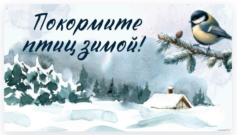 Акция «Покормите птиц зимой.